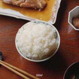 Album Cover: Gohan by DISH//