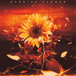 Album Cover: Burning Flower by HANA
