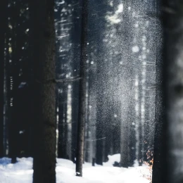 Album Cover: yukiuta by Myuk
