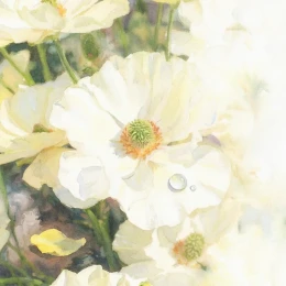 Album Cover: Anemone by Novelbright