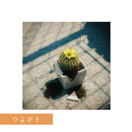 Album Cover: Tsuyogari by Sato