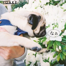 Album Cover for Naa by YOAKE